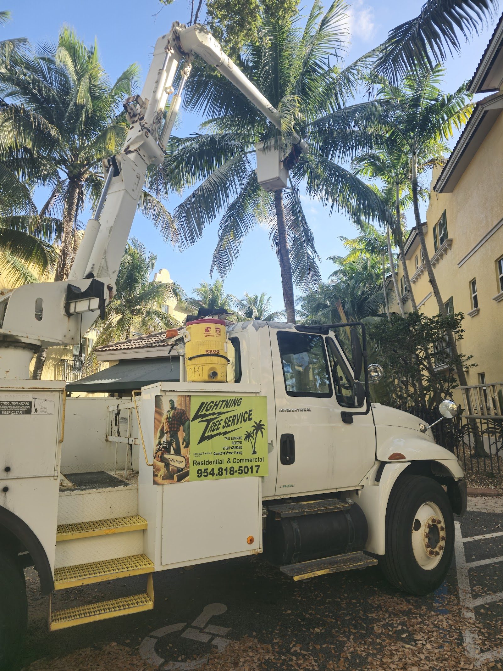 Mike, owner of Lightning Tree Service