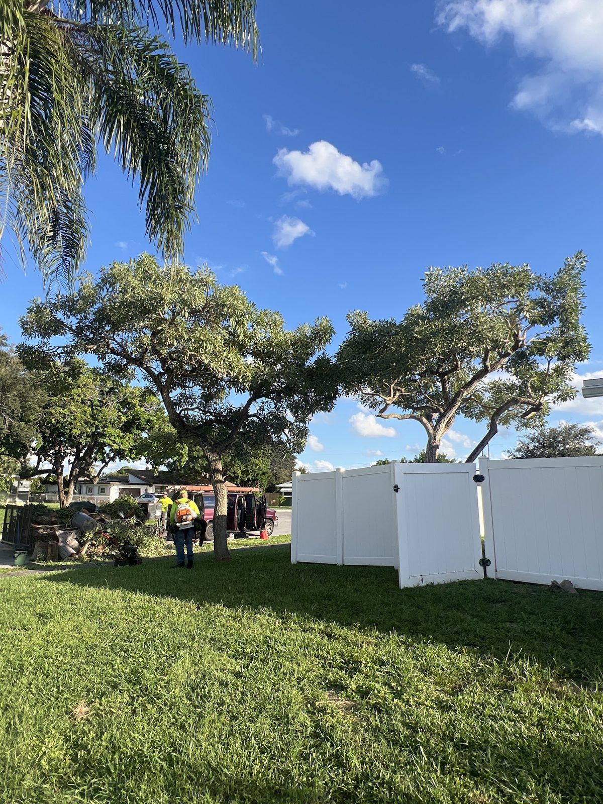 Crew finishing a backyard tree job