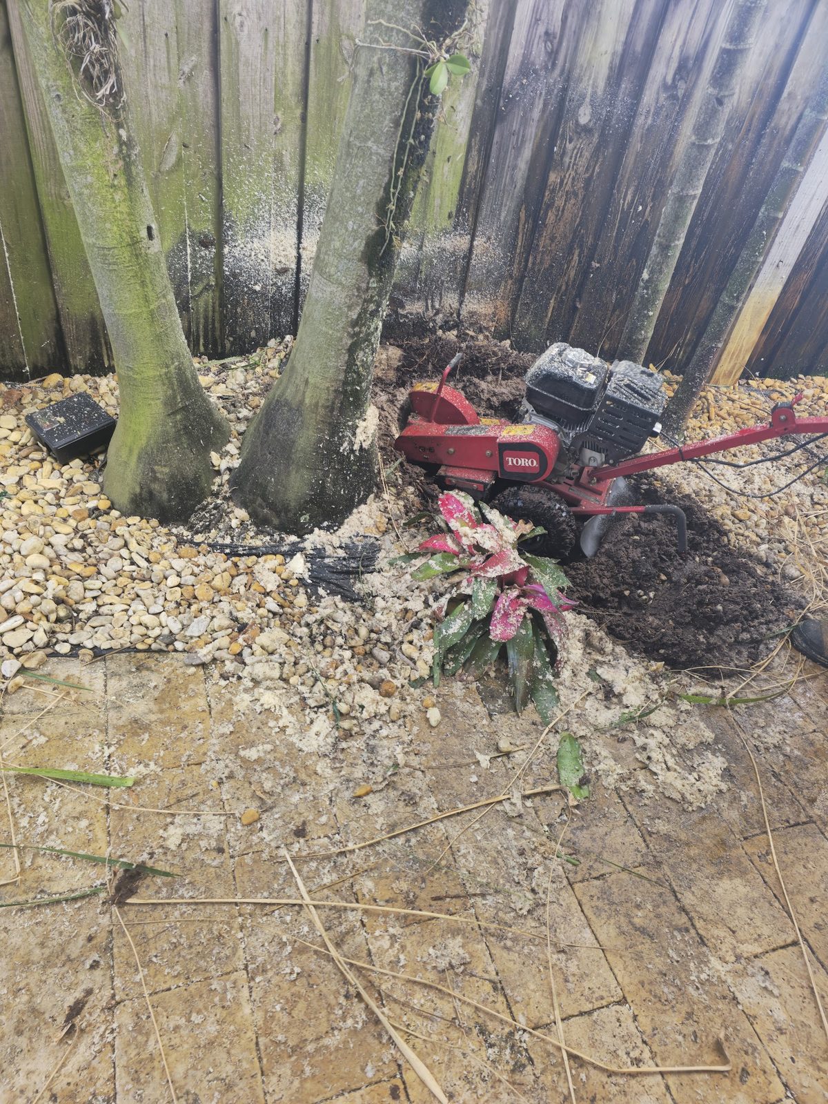 Stump grinder chasing roots below grade