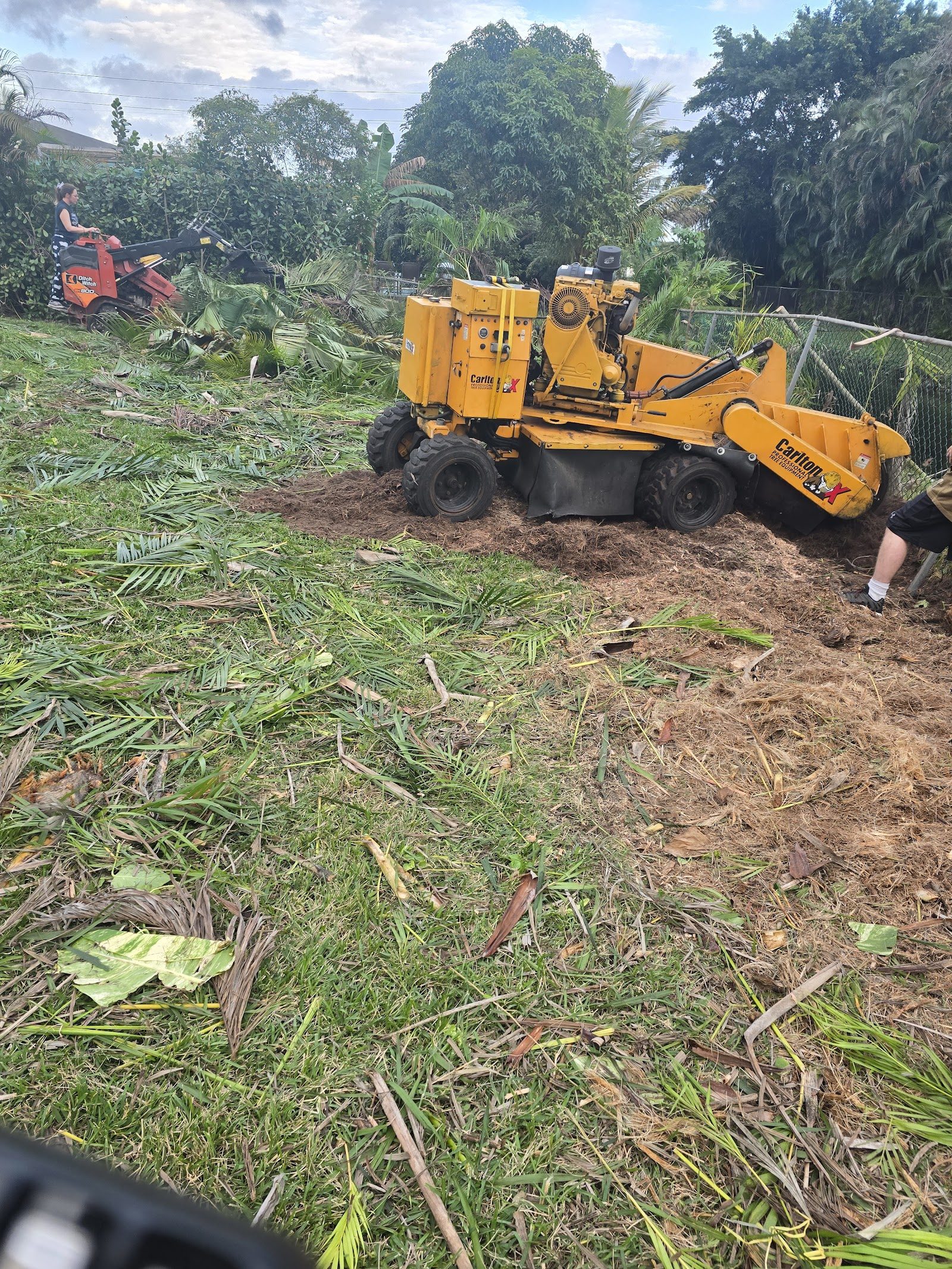 Stump Grinding
